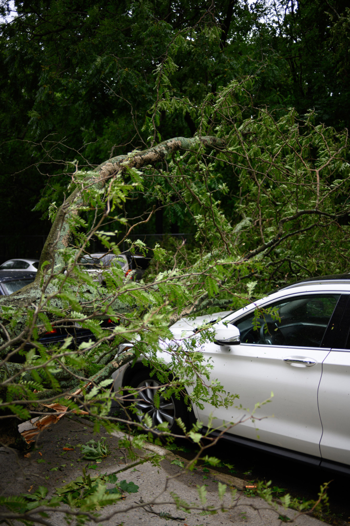Fallen tree on white car during severe weather event, highlighting climate change impact for news climate category